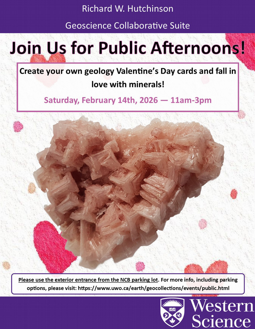 A poster advertising the February 2026 public afternoon.